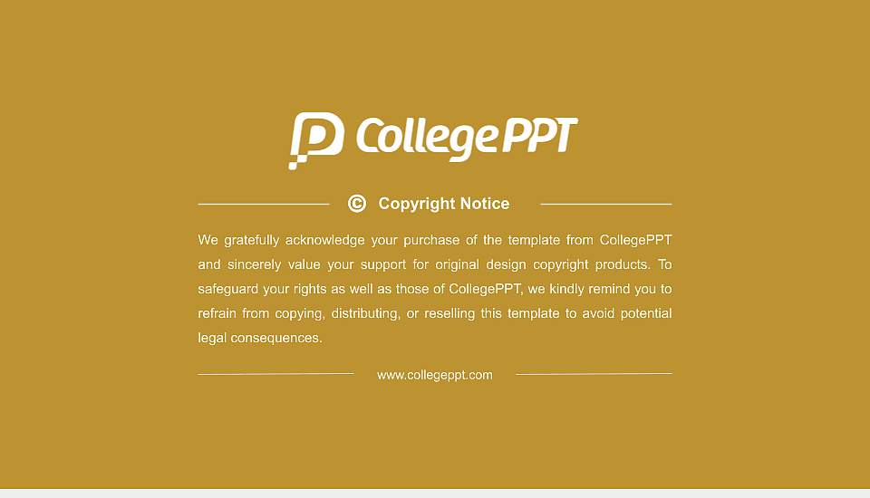 Chanakya University Resume PPT Template16:9 ratio PPT effect preview image5