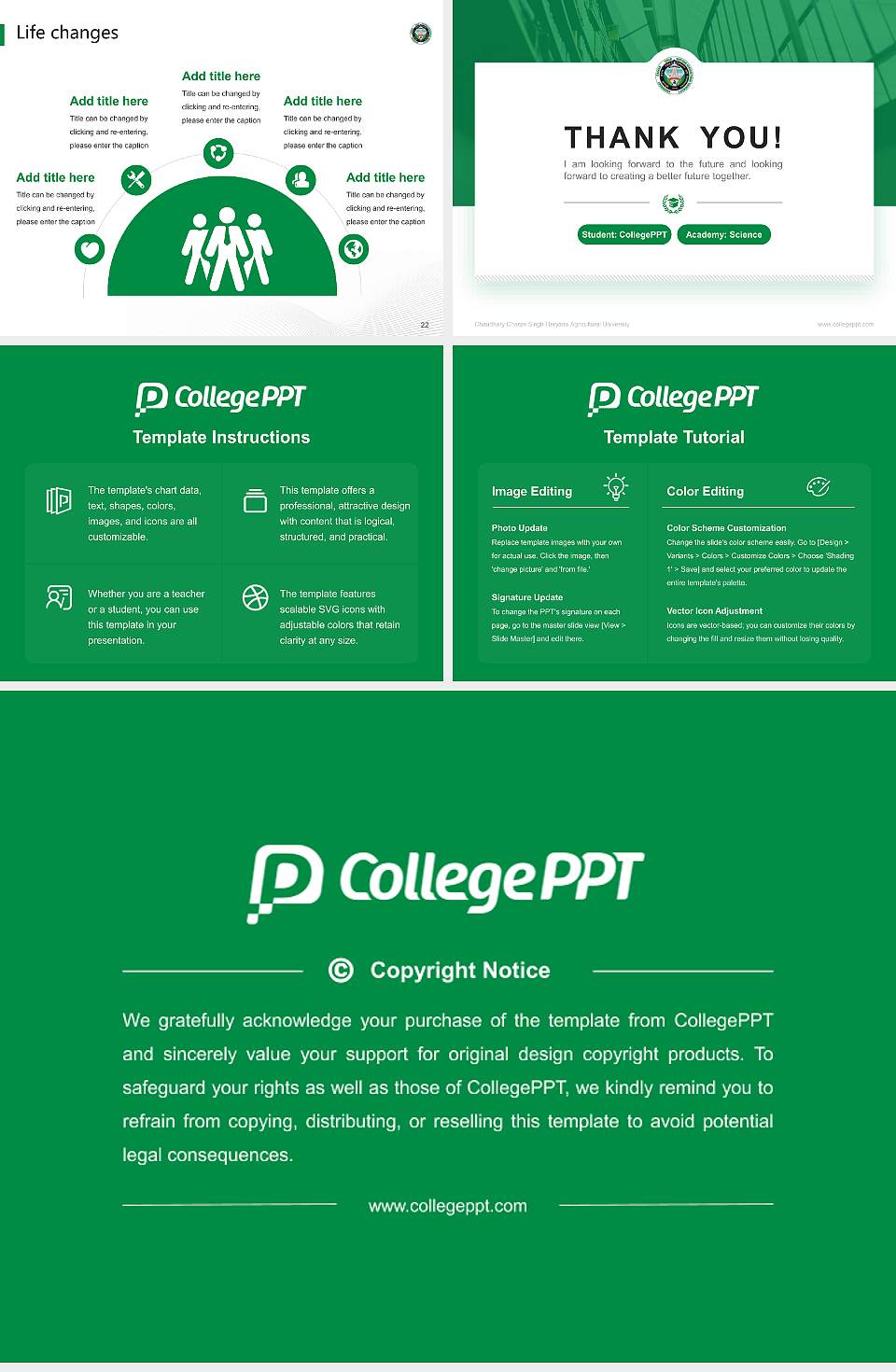 Chaudhary Charan Singh Haryana Agricultural University National Scholarship Defense PPT Template4:3 ratio PPT effect preview image4