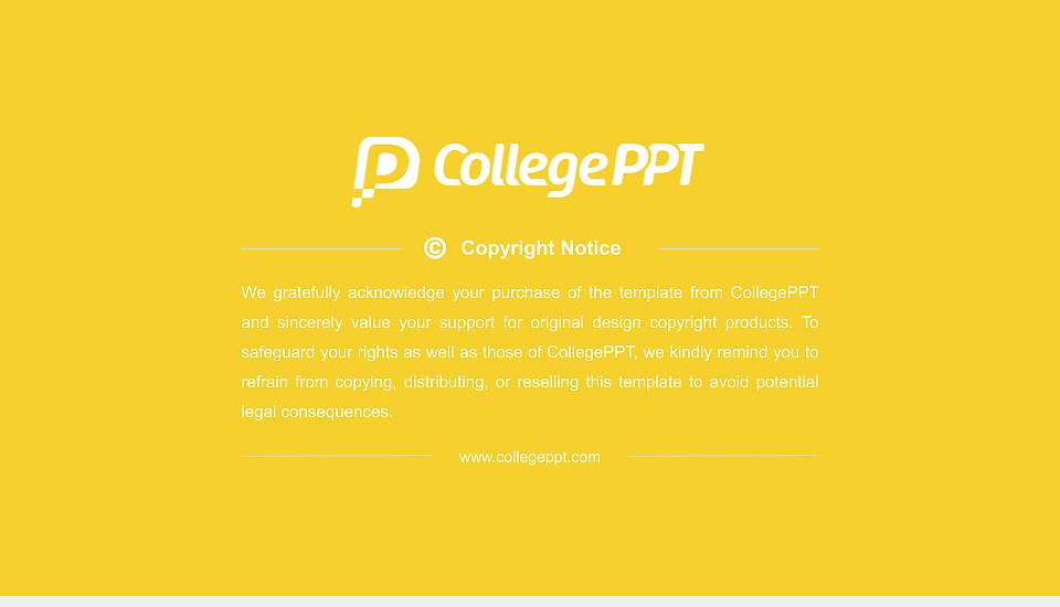 Bharati Vidyapeeth Resume PPT Template16:9 ratio PPT effect preview image5
