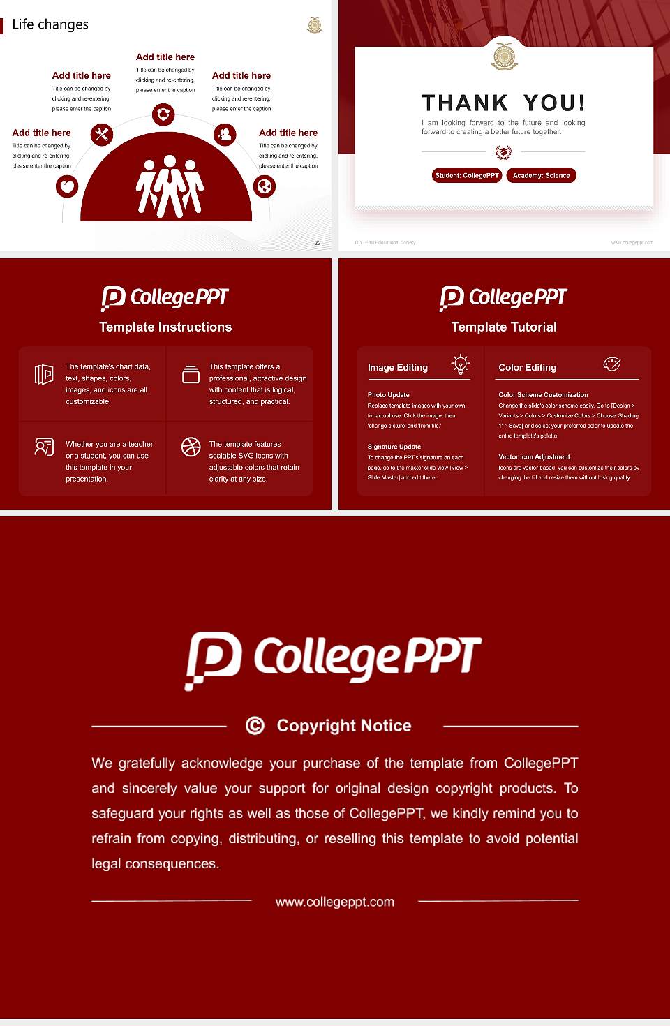 D.Y. Patil Educational Society National Scholarship Defense PPT Template4:3 ratio PPT effect preview image4
