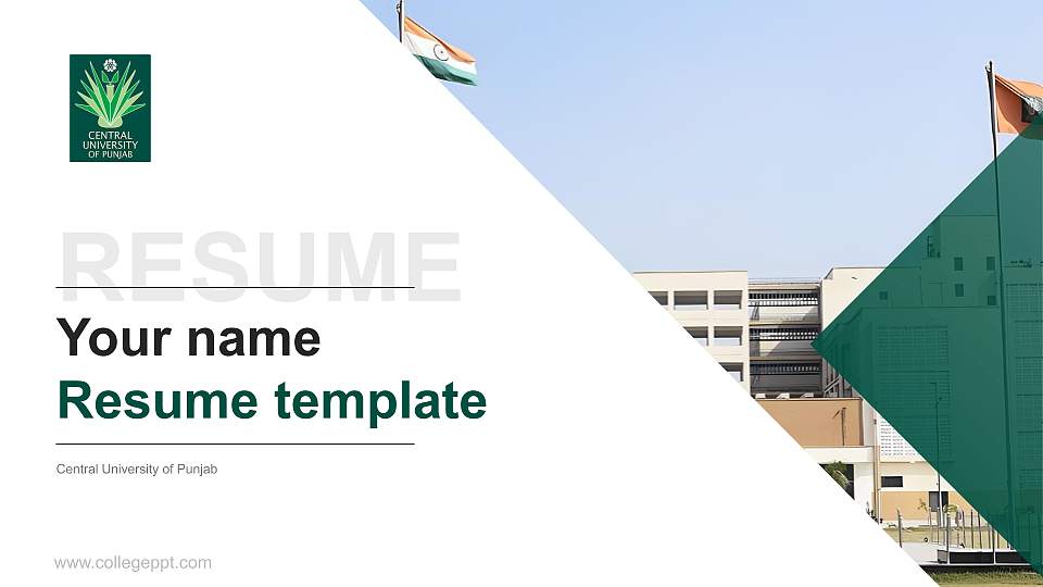Central University of Punjab Resume PPT Template16:9 ratio PPT effect preview image