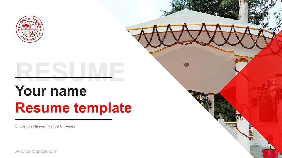Bhupendra Narayan Mandal University Resume PPT Template16:9 ratio PPT effect preview image