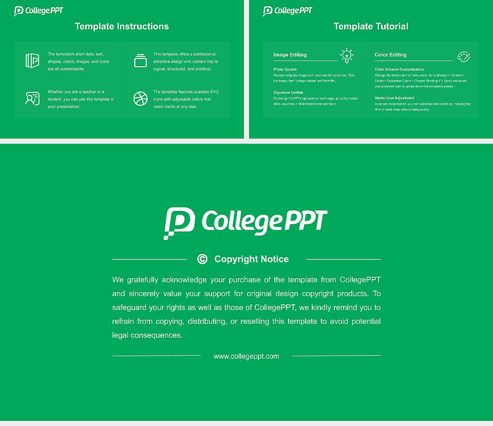 Hemchand Yadav Vishwavidyalaya Course/Courseware Creation PPT Template16:9 ratio PPT effect preview image5