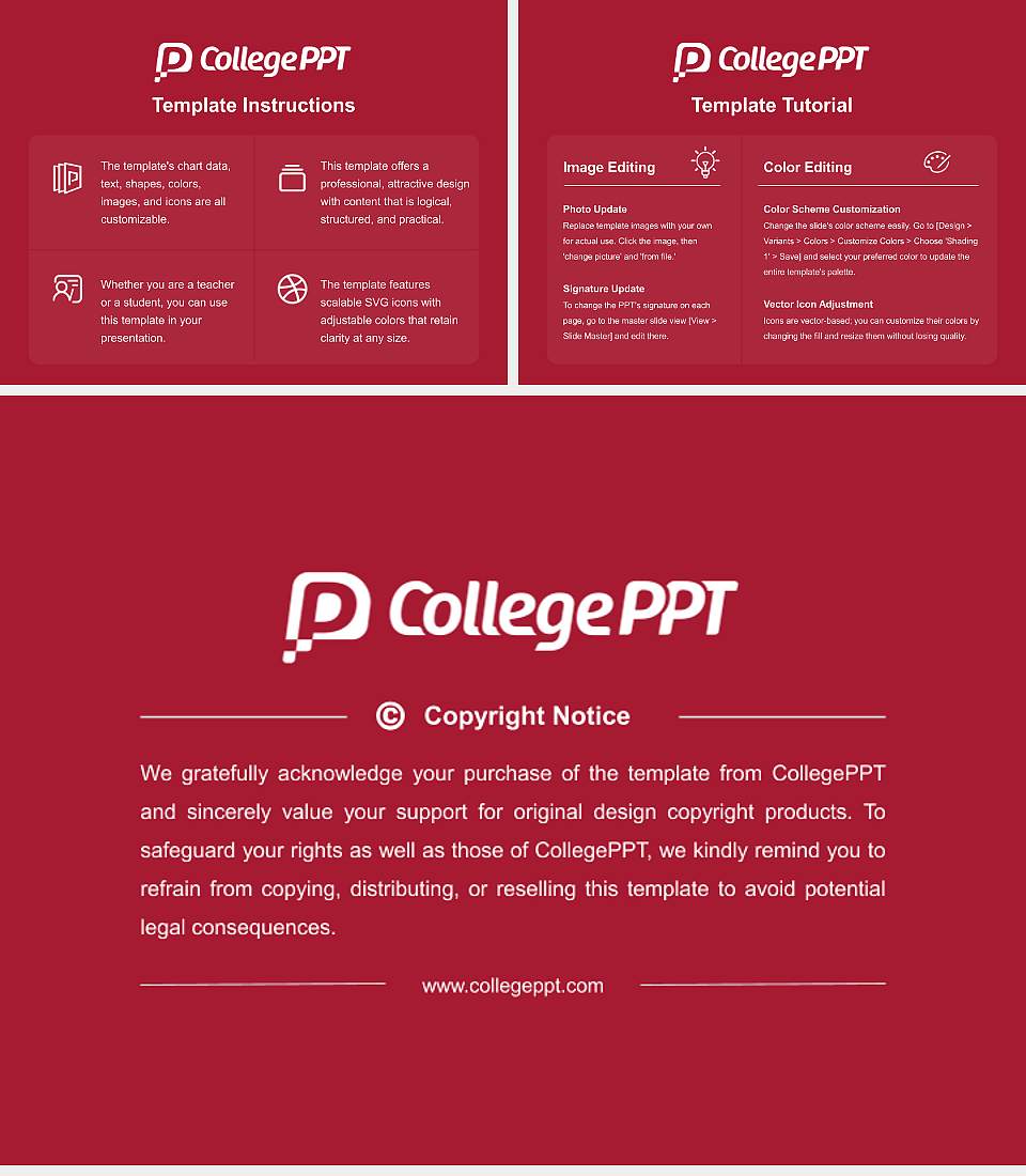 Delhi Sports University Course/Courseware Creation PPT Template4:3 ratio PPT effect preview image5