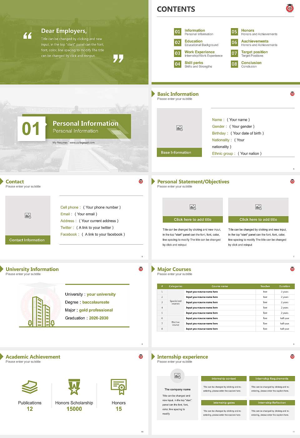 Dr. Ram Manohar Lohiya National Law University Resume PPT Template16:9 ratio PPT effect preview image2