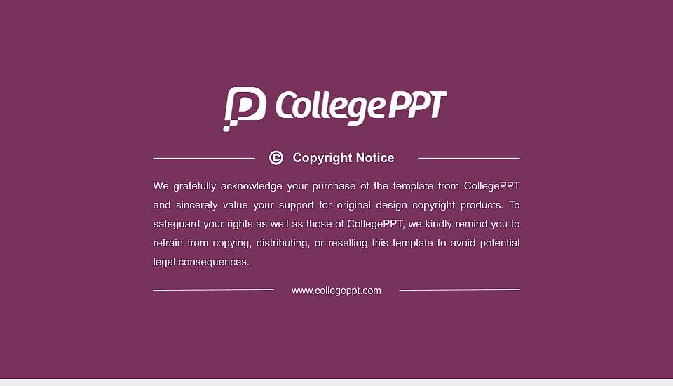 Gautam Buddha University Resume PPT Template16:9 ratio PPT effect preview image5