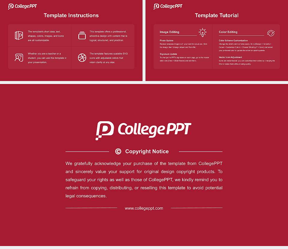 Delhi Sports University Course/Courseware Creation PPT Template16:9 ratio PPT effect preview image5