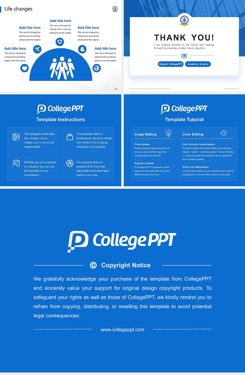 Delhi Pharmaceutical Sciences & Research University National Scholarship Defense PPT Template4:3 ratio PPT effect preview image4