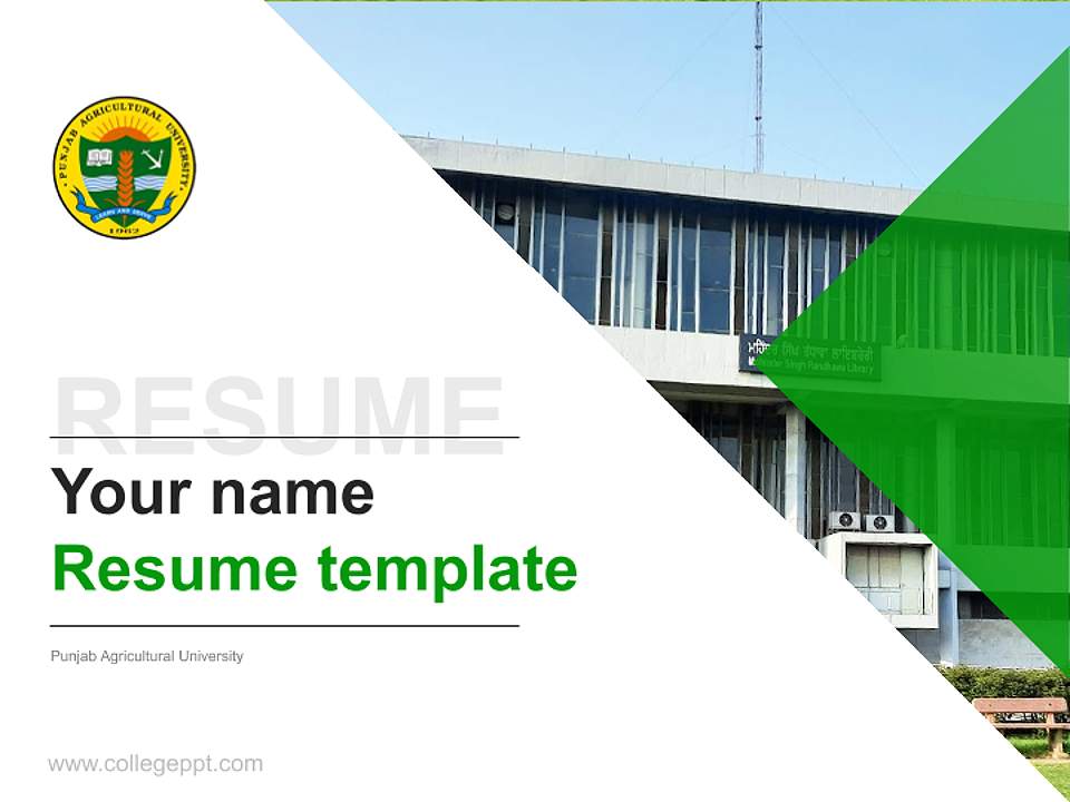Punjab Agricultural University Resume PPT Template4:3 ratio PPT effect preview image5