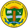 旁遮普农业大学