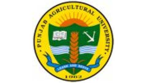 Punjab Agricultural University