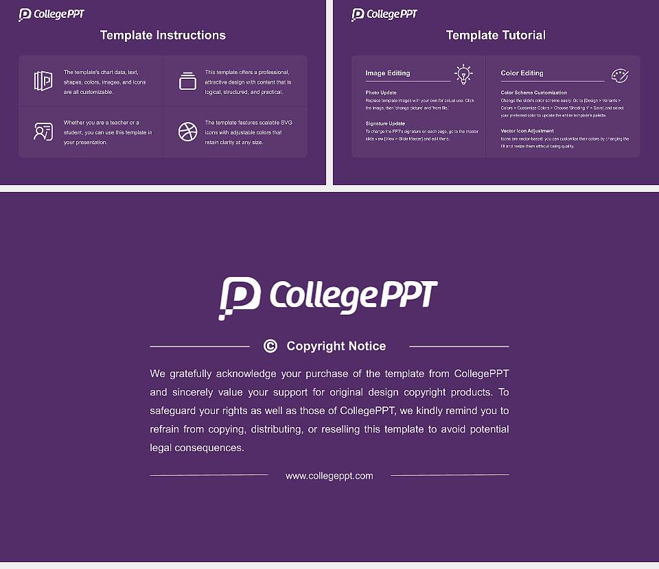 Integral University Course/Courseware Creation PPT Template16:9 ratio PPT effect preview image5
