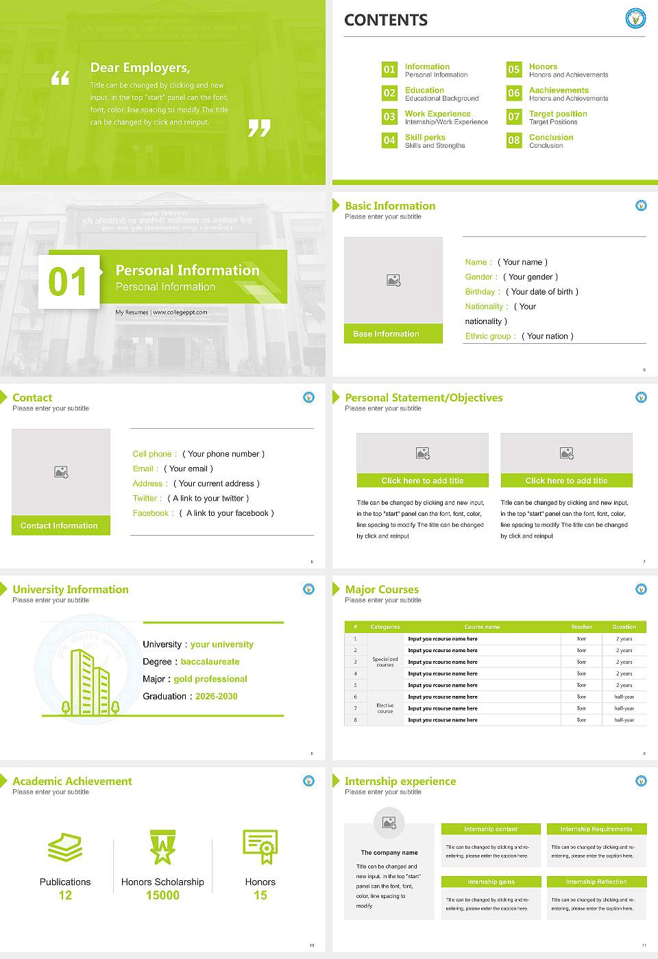 Indira Gandhi Krishi Vishwavidyalaya Resume PPT Template16:9 ratio PPT effect preview image2