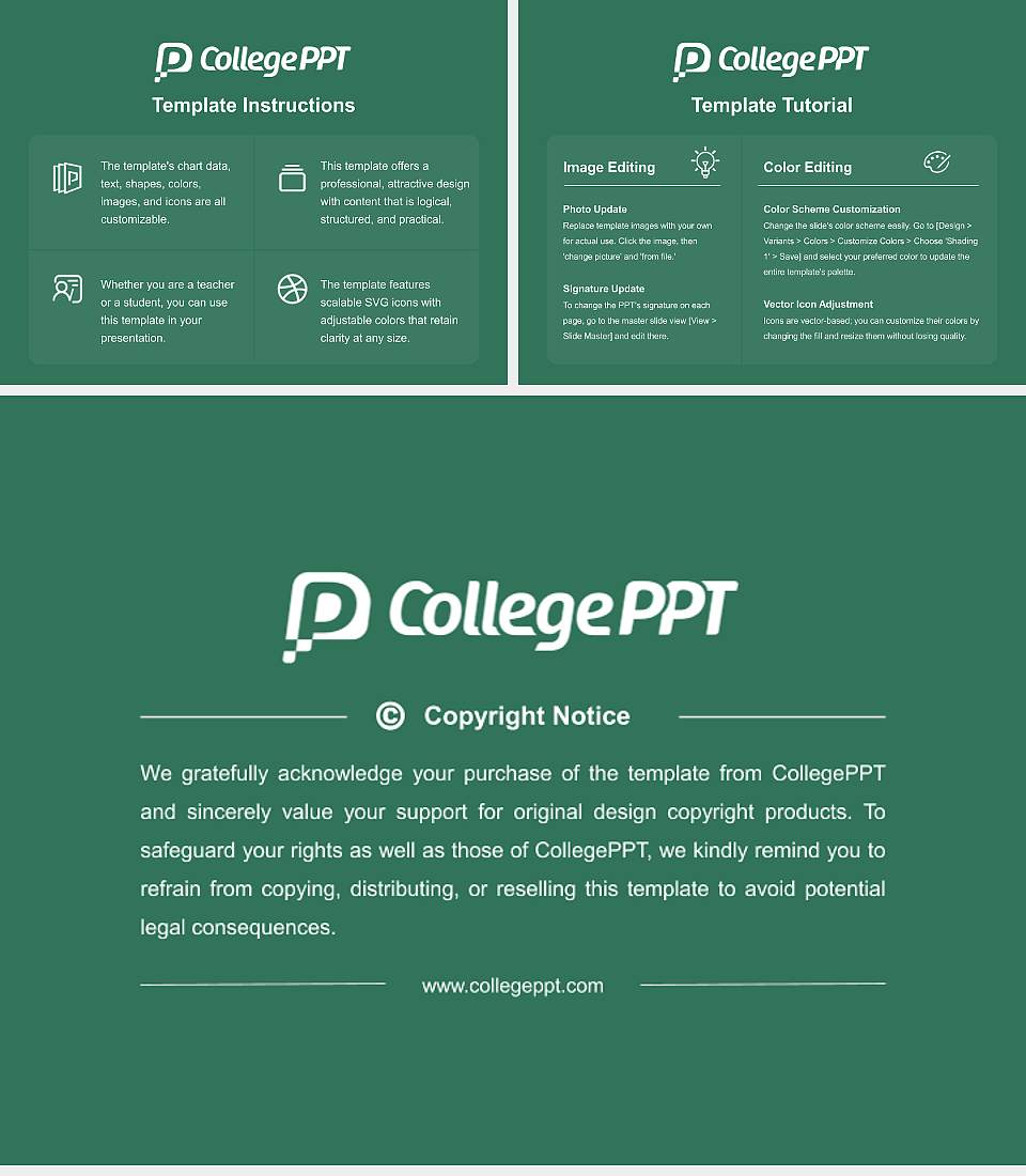 Hyderabad (Sind) National Collegiate University Course/Courseware Creation PPT Template4:3 ratio PPT effect preview image5