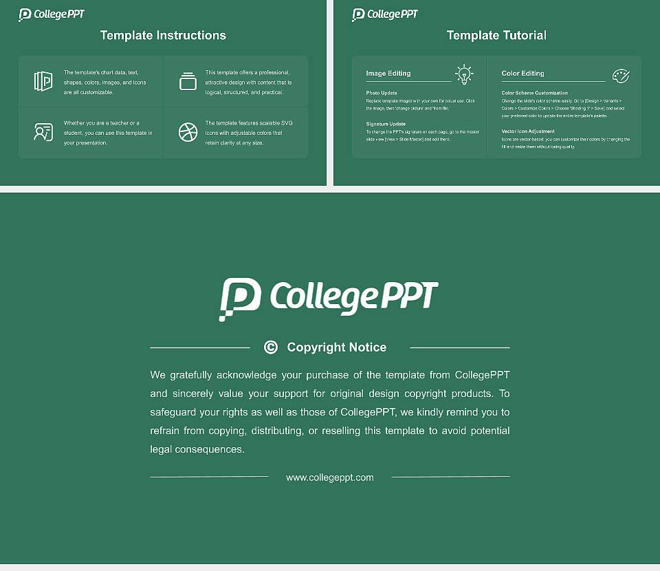 Hyderabad (Sind) National Collegiate University Course/Courseware Creation PPT Template16:9 ratio PPT effect preview image5