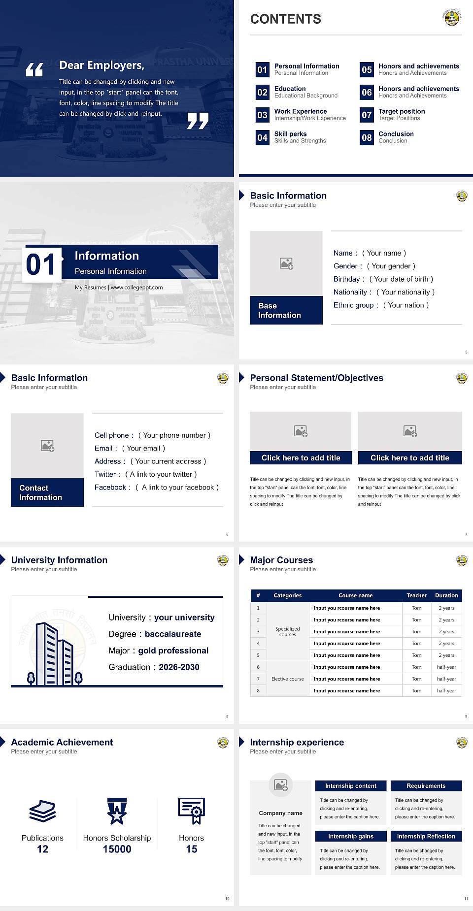 Guru Gobind Singh Indraprastha Vishwavidyalaya Resume PPT Template4:3 ratio PPT effect preview image2