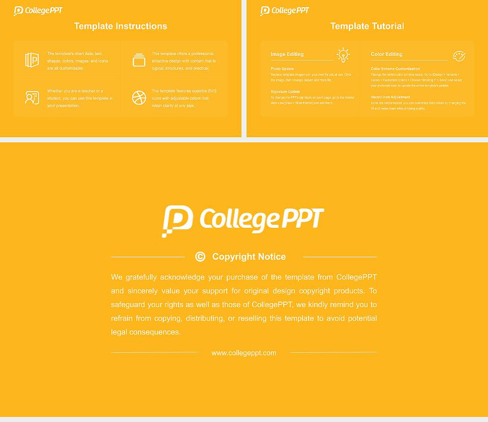American International College Academic Presentation/Research Findings Report PPT Template16:9 ratio PPT effect preview image5