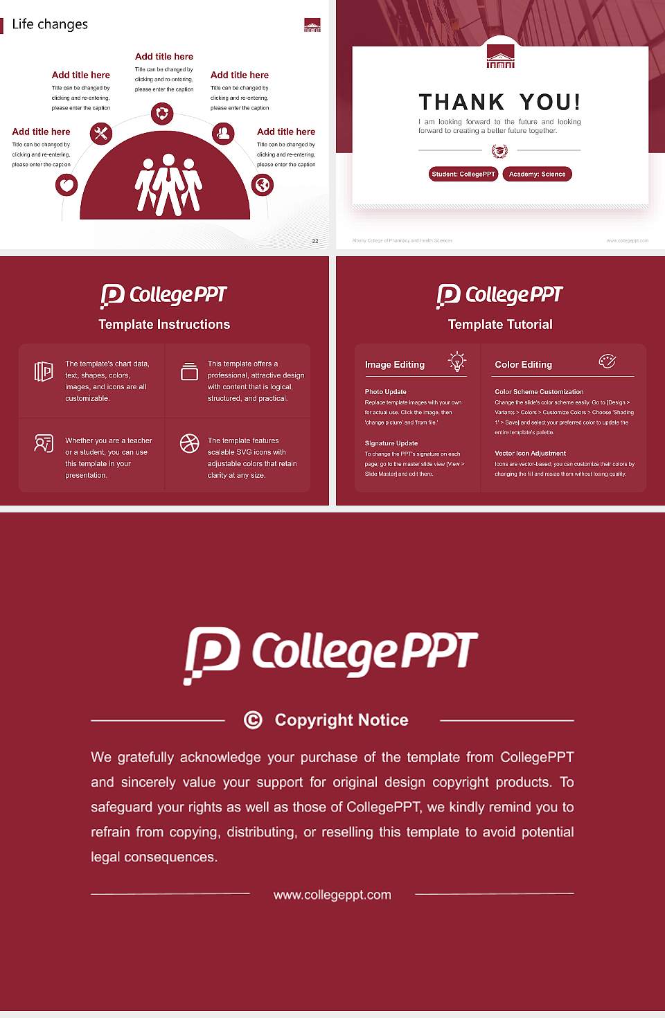 Albany College of Pharmacy and Health Sciences National Scholarship Defense PPT Template4:3 ratio PPT effect preview image4