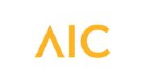 American International College