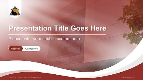 Academy of Chinese Culture and Health Sciences Lecture Sharing and Networking Event PPT Template