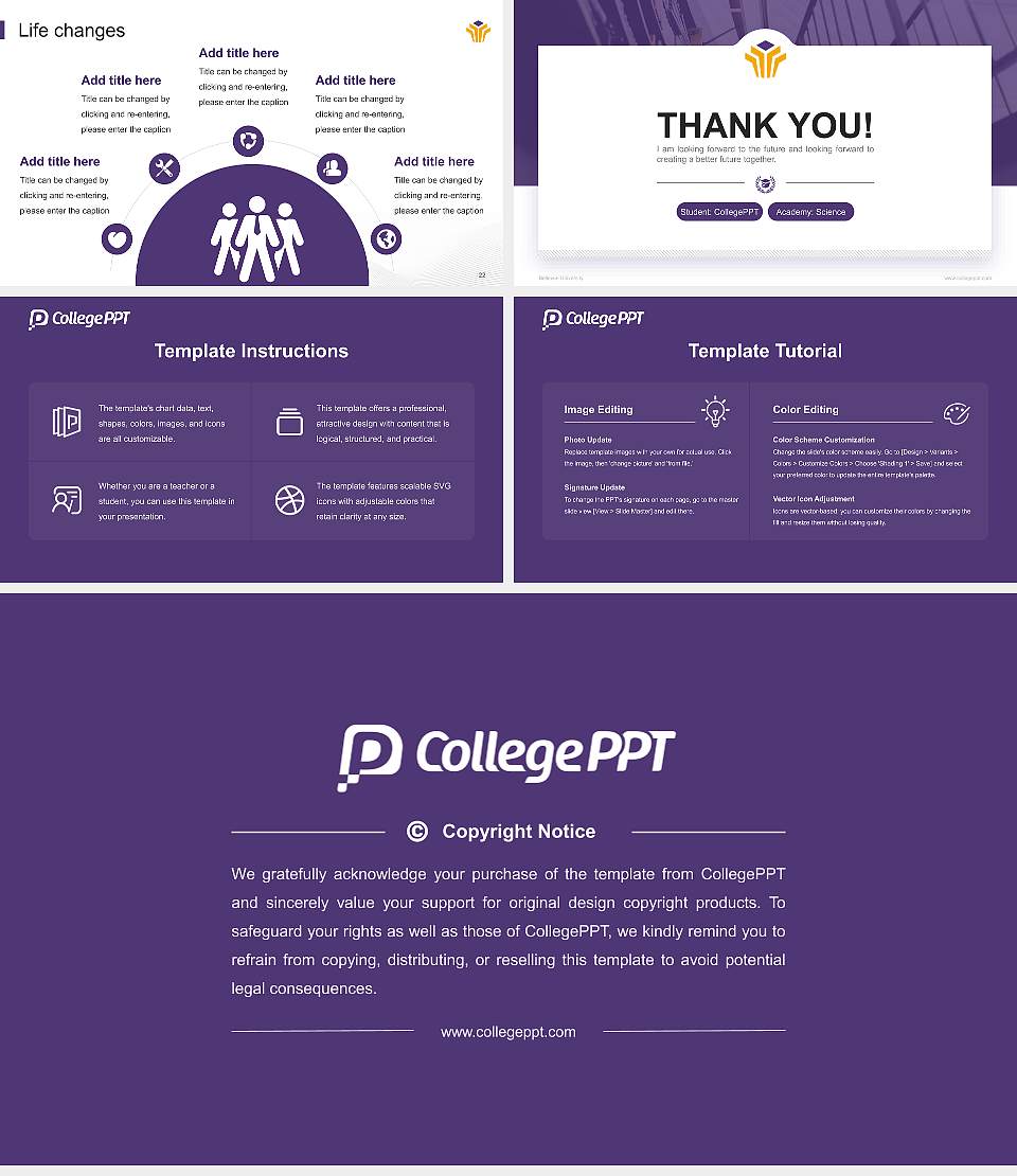 Bellevue University National Scholarship Defense PPT Template16:9 ratio PPT effect preview image4