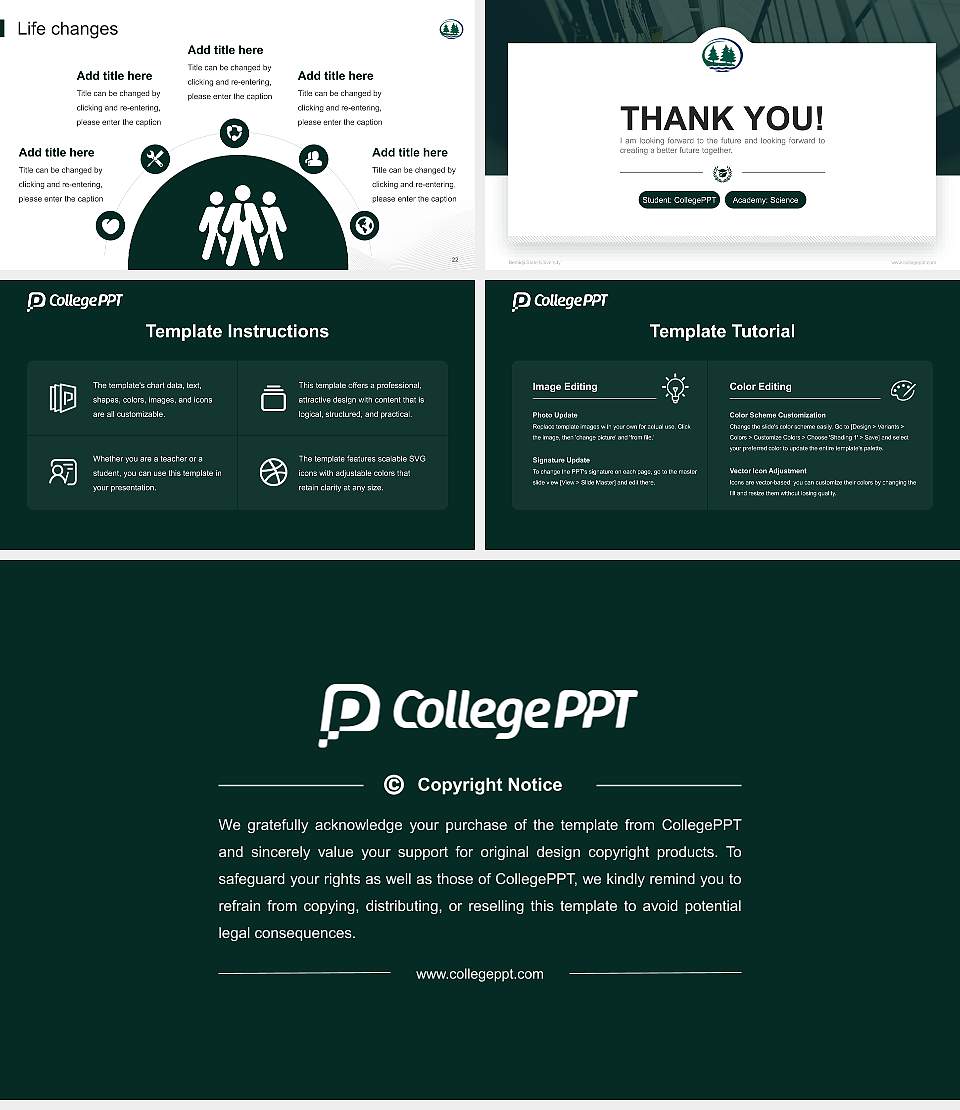 Bemidji State University National Scholarship Defense PPT Template16:9 ratio PPT effect preview image4