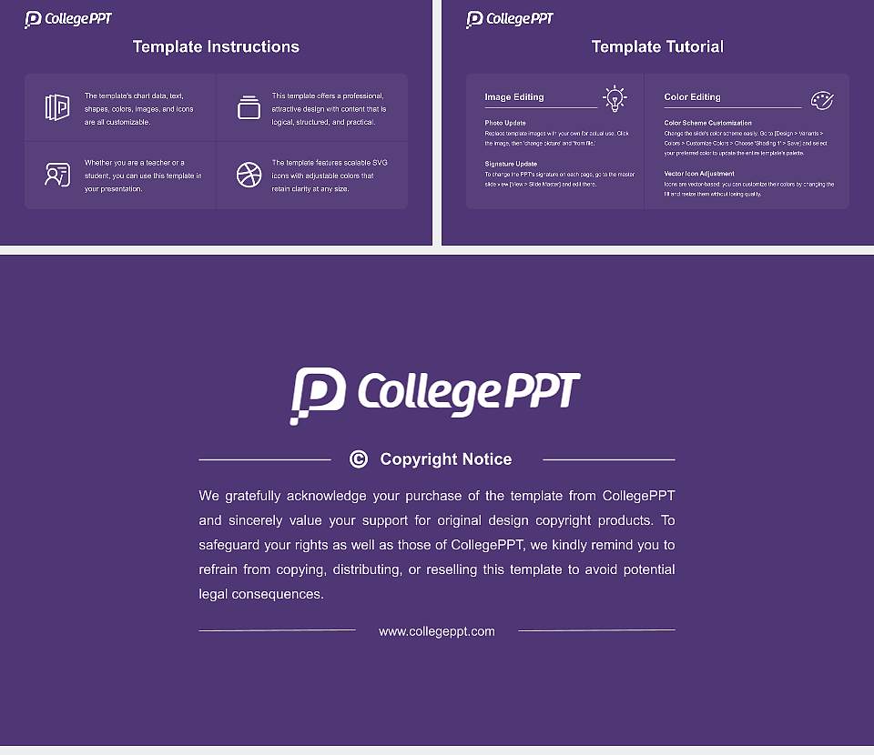 Bellevue University Course/Courseware Creation PPT Template16:9 ratio PPT effect preview image5
