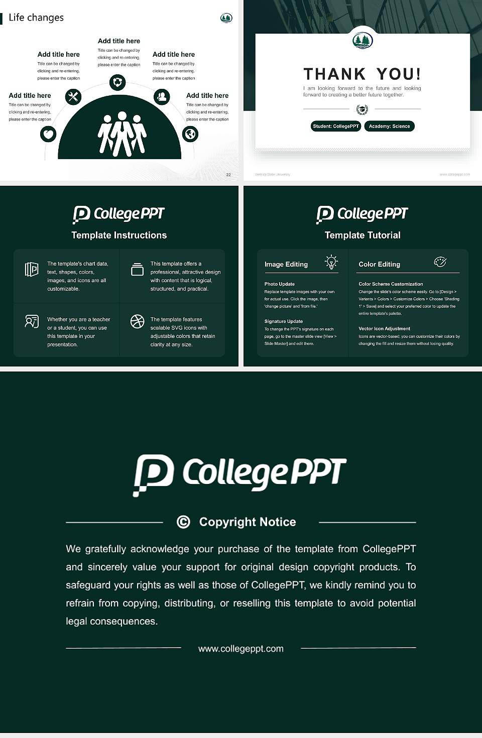 Bemidji State University National Scholarship Defense PPT Template4:3 ratio PPT effect preview image4