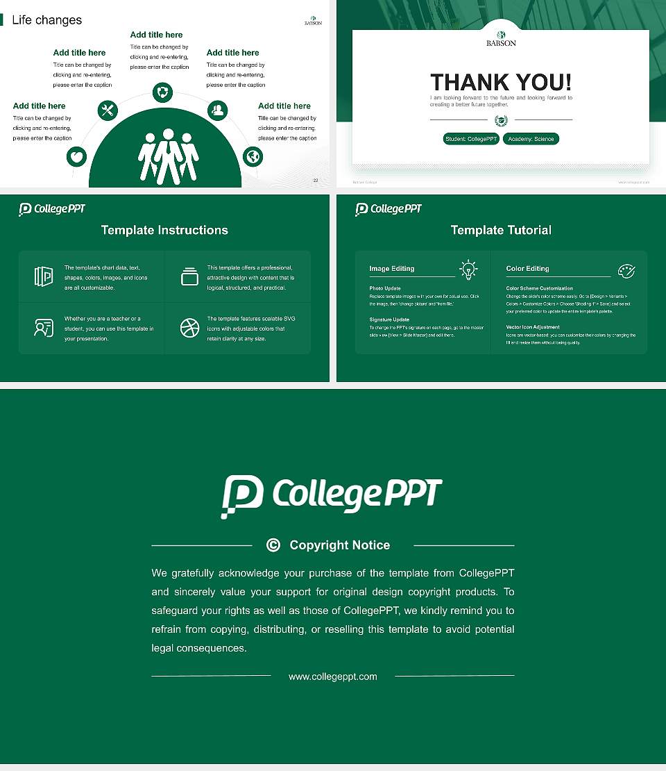 Babson College National Scholarship Defense PPT Template16:9 ratio PPT effect preview image4