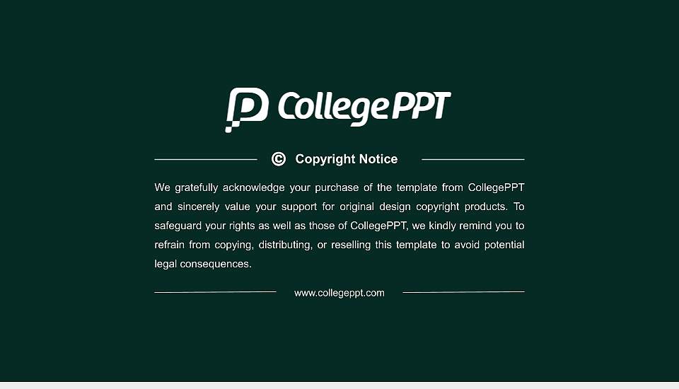 Bemidji State University Resume PPT Template16:9 ratio PPT effect preview image5