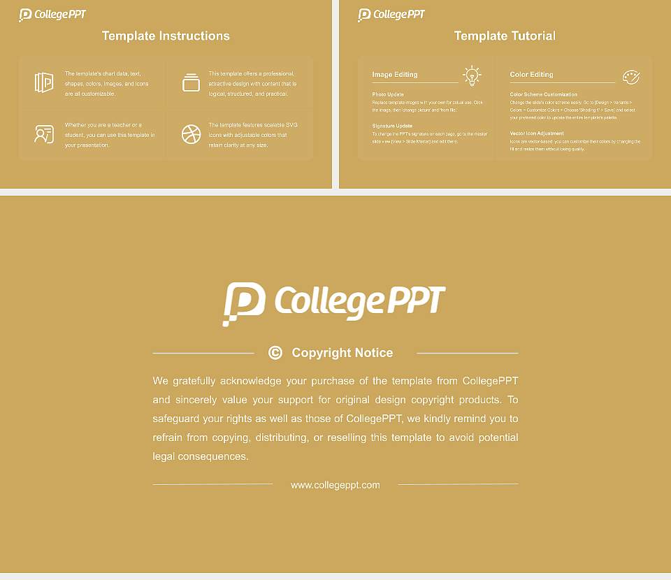 Atmiya University Course/Courseware Creation PPT Template16:9 ratio PPT effect preview image5