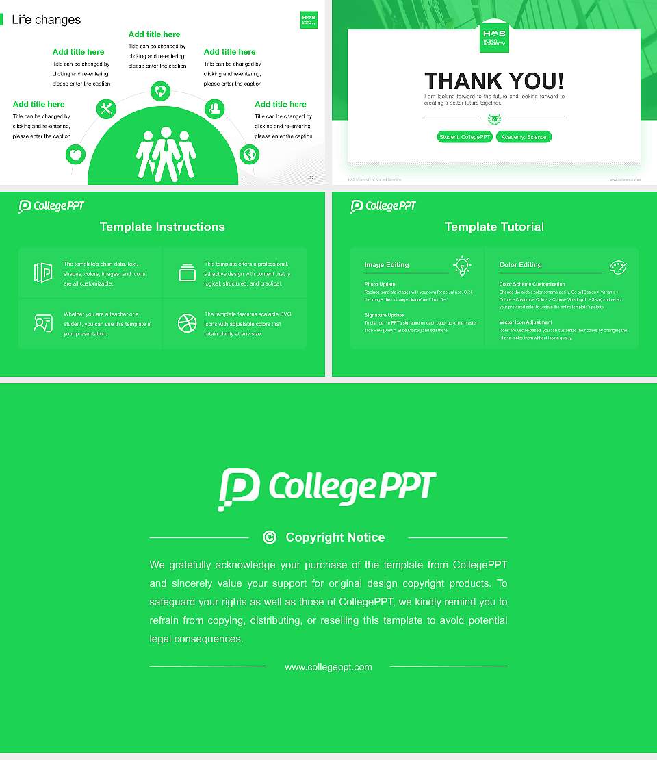 HAS University of Applied Sciences National Scholarship Defense PPT Template16:9 ratio PPT effect preview image4