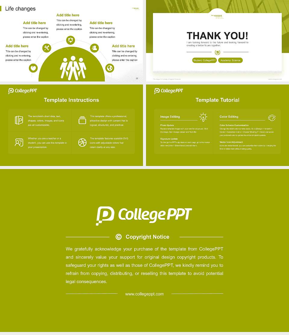 The Hague University of Applied Sciences National Scholarship Defense PPT Template16:9 ratio PPT effect preview image4