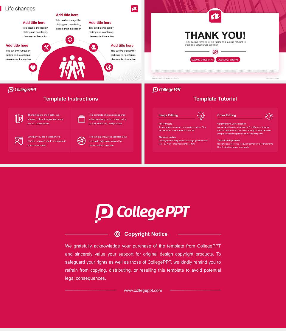 Rotterdam University of Applied Sciences National Scholarship Defense PPT Template16:9 ratio PPT effect preview image4