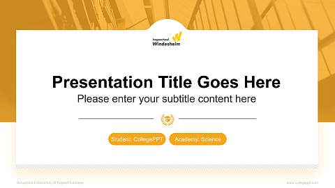 Windesheim University of Applied Sciences National Scholarship Defense PPT Template