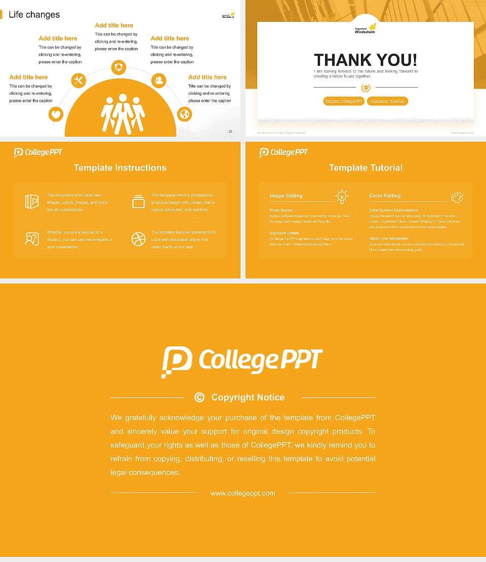 Windesheim University of Applied Sciences National Scholarship Defense PPT Template16:9 ratio PPT effect preview image4