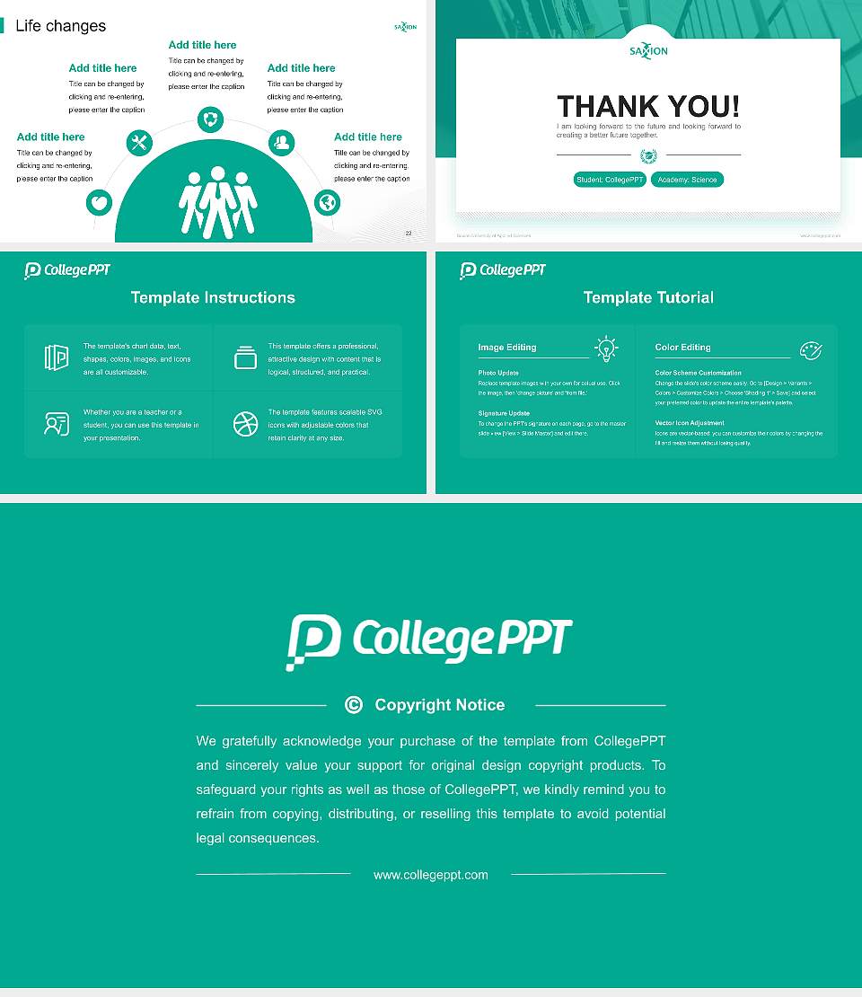 Saxion University of Applied Sciences National Scholarship Defense PPT Template16:9 ratio PPT effect preview image4