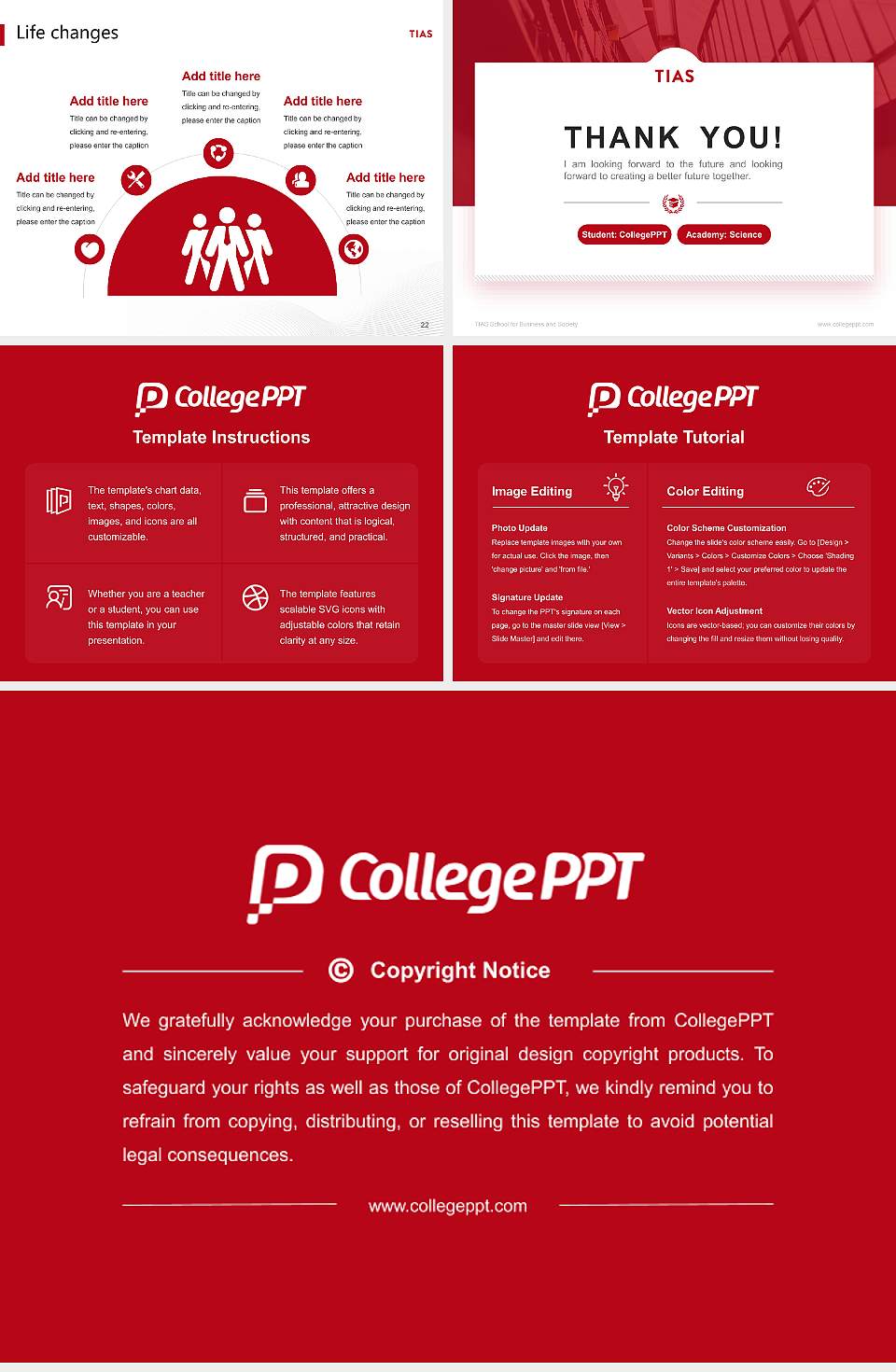 TIAS School for Business and Society National Scholarship Defense PPT Template4:3 ratio PPT effect preview image4