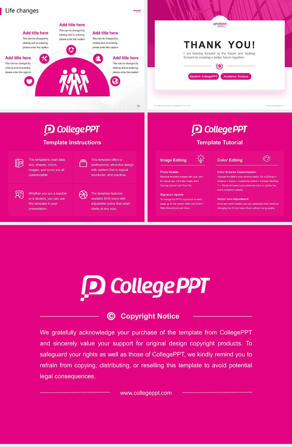 Inholland University of Applied Sciences National Scholarship Defense PPT Template4:3 ratio PPT effect preview image4