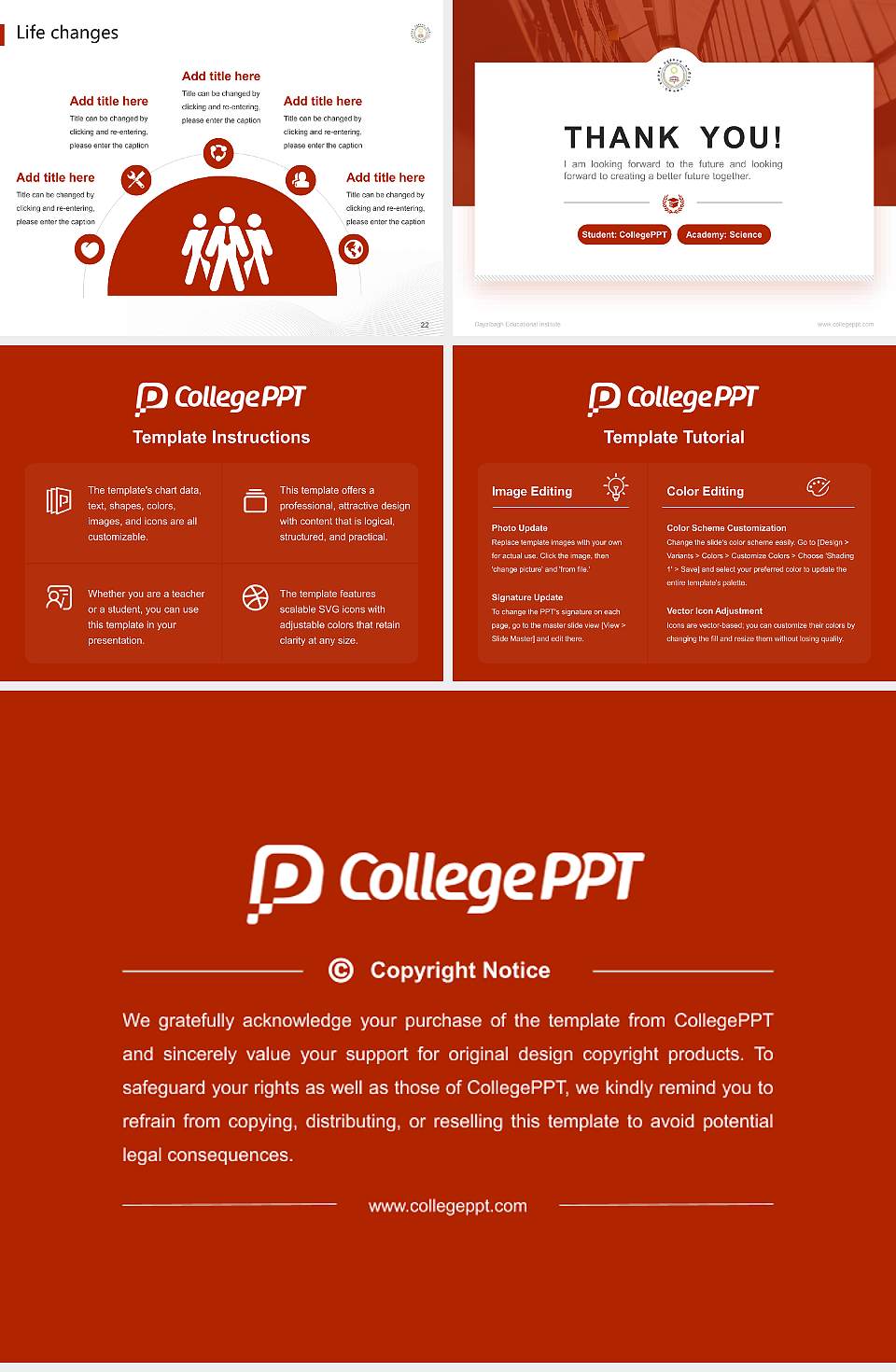 Dayalbagh Educational Institute National Scholarship Defense PPT Template4:3 ratio PPT effect preview image4
