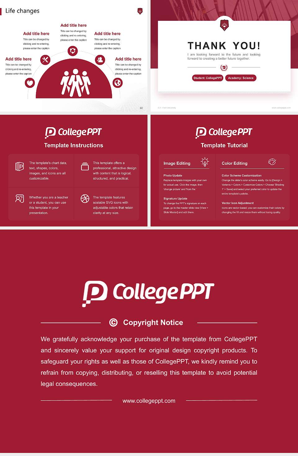 D.Y. Patil University National Scholarship Defense PPT Template4:3 ratio PPT effect preview image4