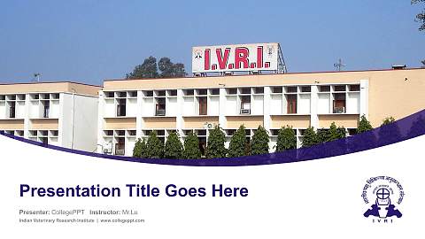 Indian Veterinary Research Institute Course/Courseware Creation PPT Template