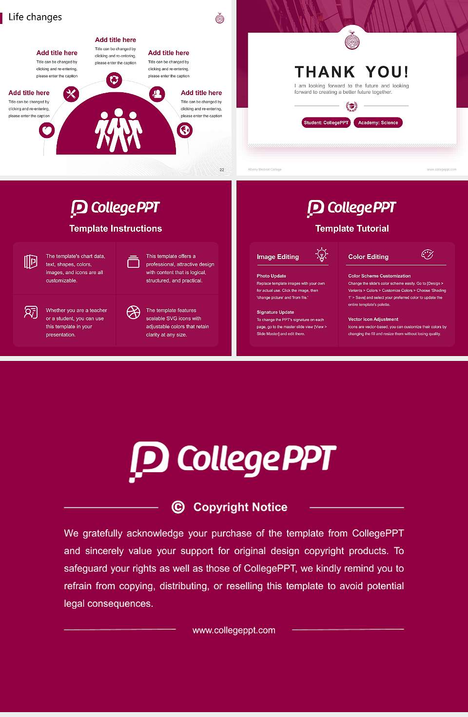 Albany Medical College National Scholarship Defense PPT Template4:3 ratio PPT effect preview image4
