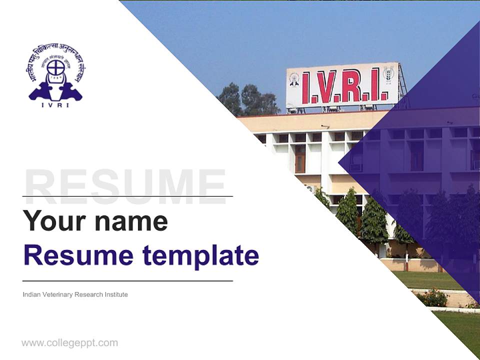 Indian Veterinary Research Institute Resume PPT Template4:3 ratio PPT effect preview image5