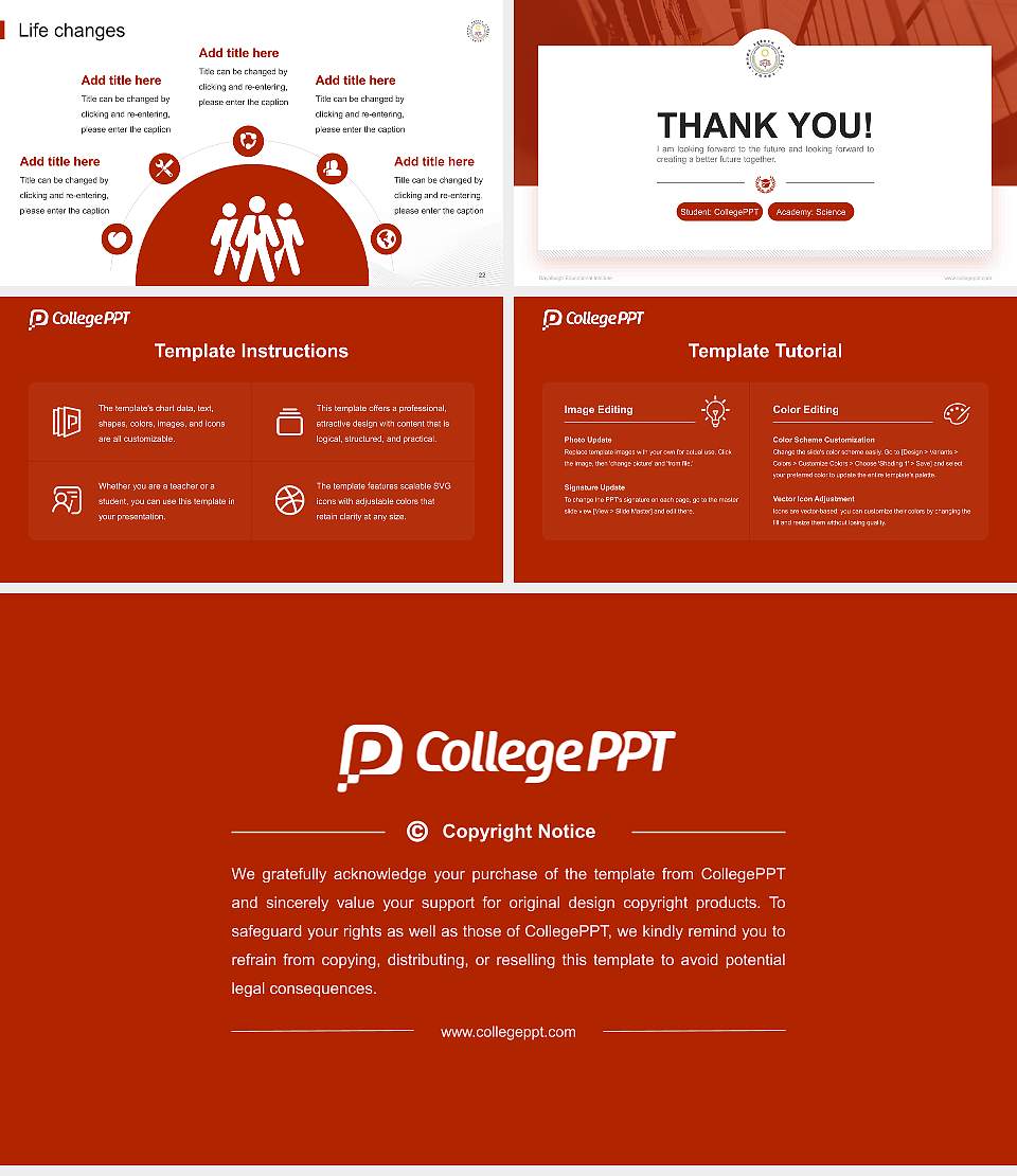 Dayalbagh Educational Institute National Scholarship Defense PPT Template16:9 ratio PPT effect preview image4