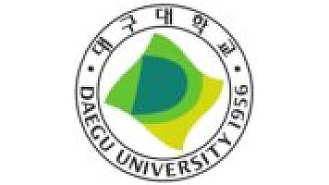 Daegu University