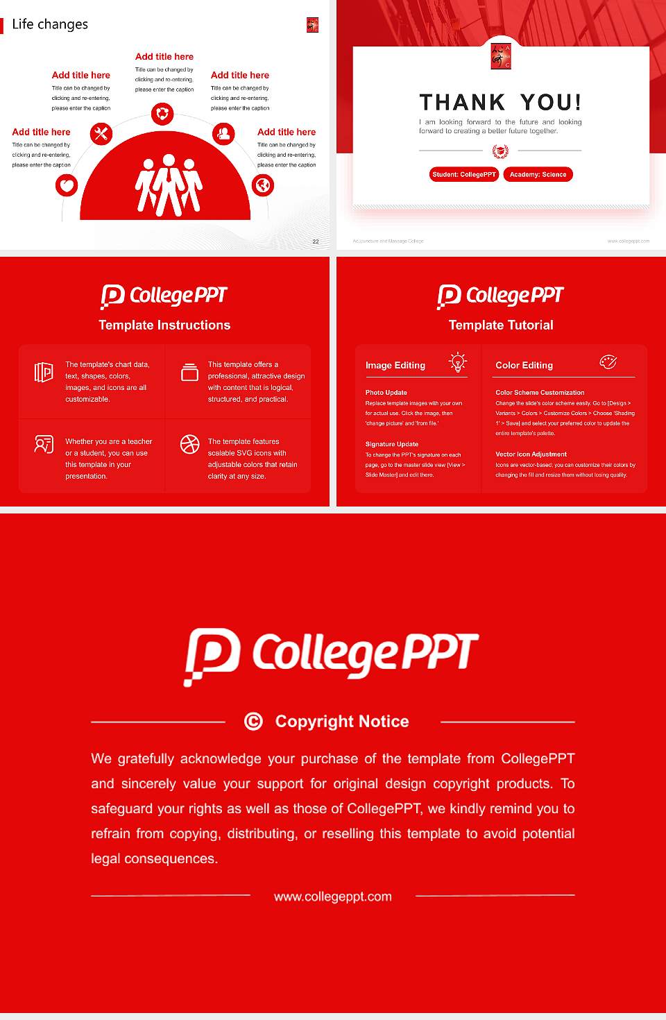 Acupuncture and Massage College National Scholarship Defense PPT Template4:3 ratio PPT effect preview image4