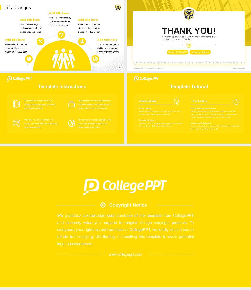 Datta Meghe Institute of Higher Education & Research National Scholarship Defense PPT Template16:9 ratio PPT effect preview image4