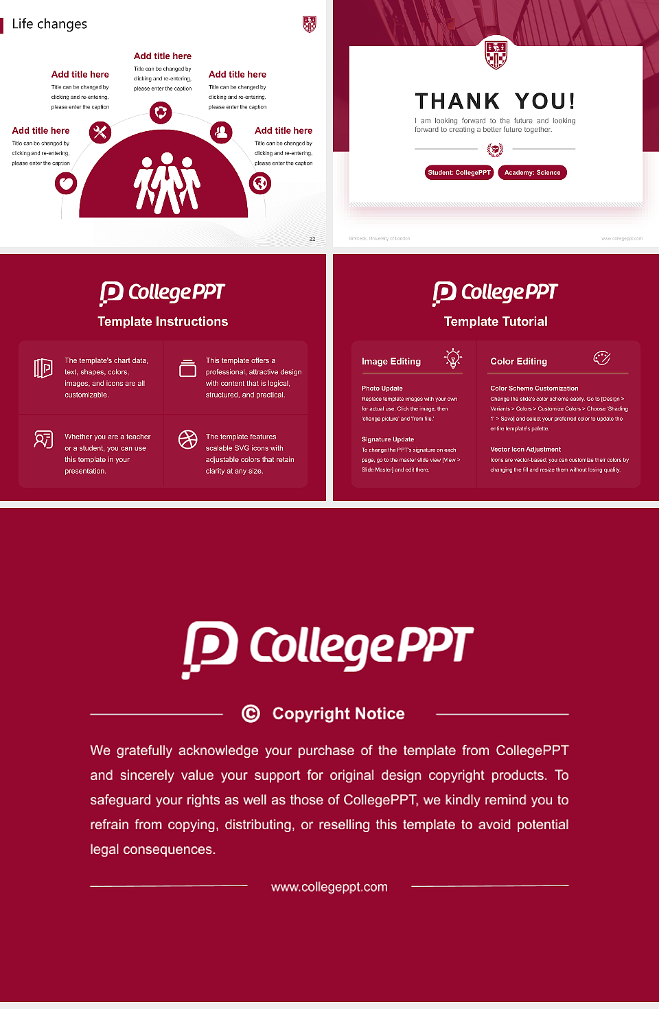 Birkbeck, University of London National Scholarship Defense PPT Template_Slide preview image4