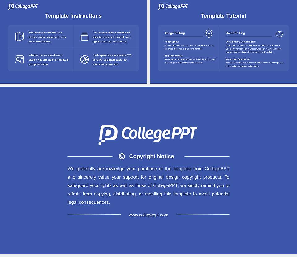 Beppu University Course/Courseware Creation PPT Template16:9 ratio PPT effect preview image5